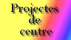 Projectes de centre